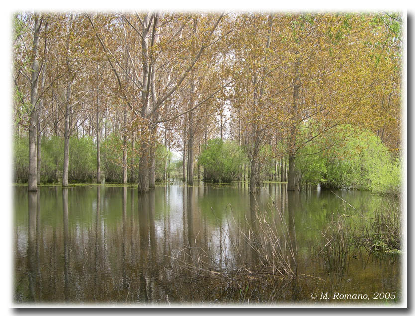 Laghi......della SICILIA